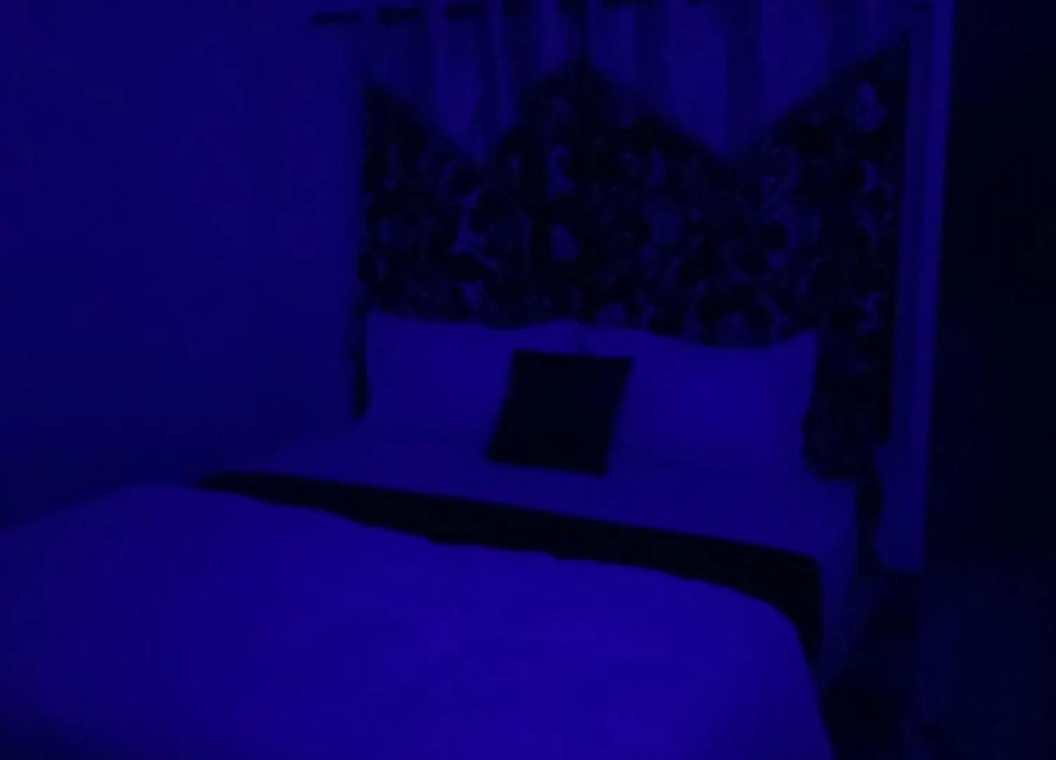 Dreaminn Family Homestay Meenangadi